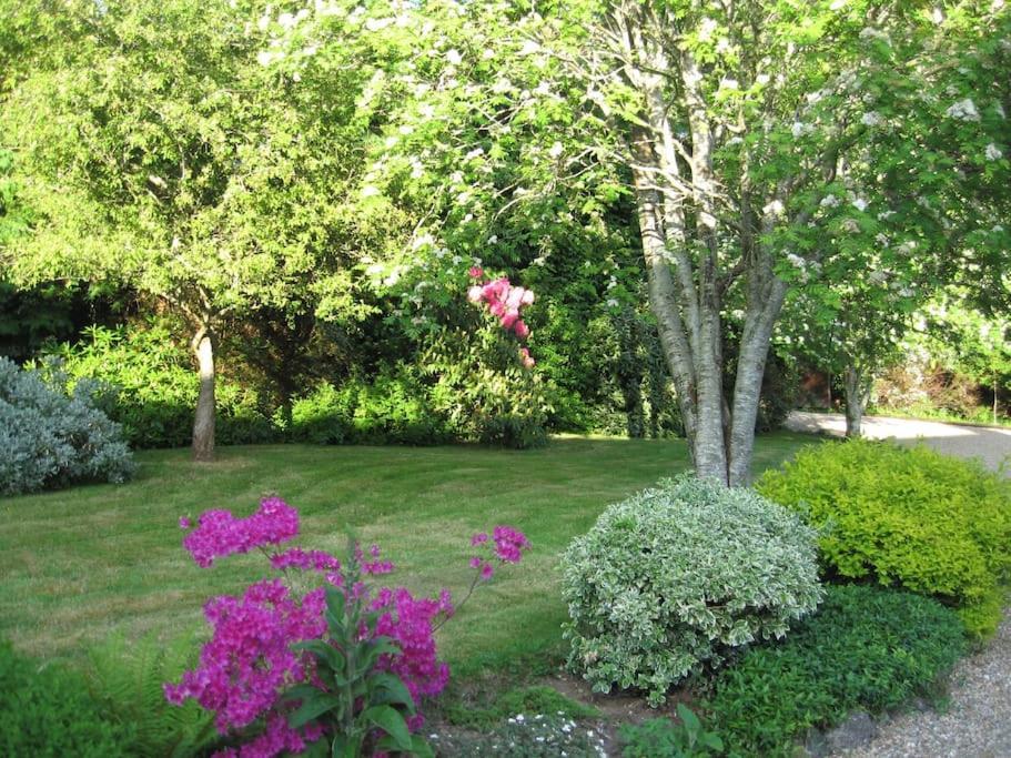 Self Catering Apartment At Beechwalk House. إنيسكري المظهر الخارجي الصورة